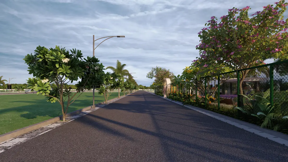 Avenue Trees