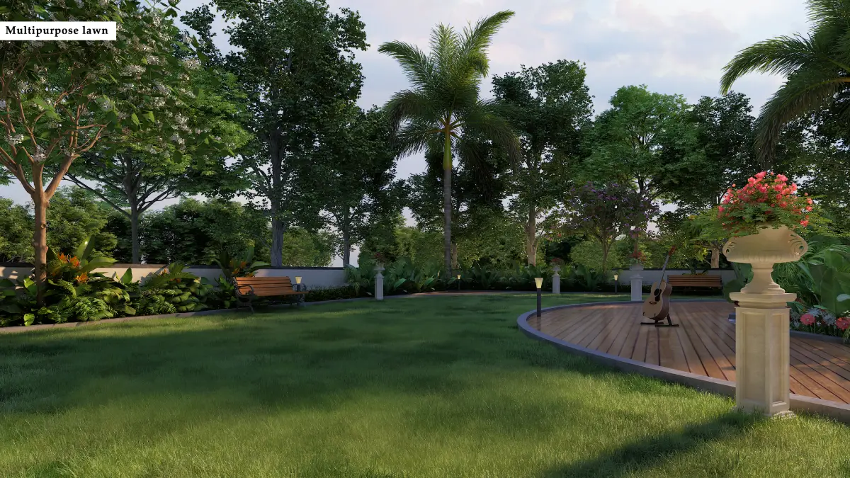 Multipurpose Lawn